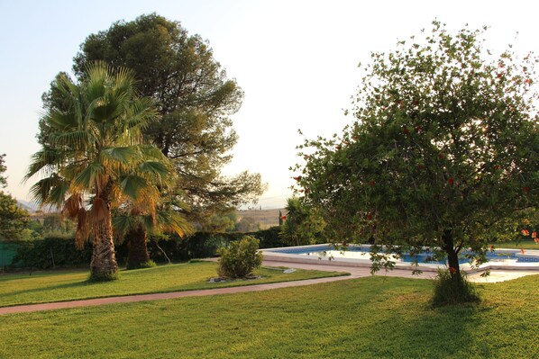 Un parque con piscina, palmeras y un arbusto pequeño.