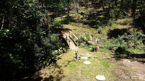 A forested area with a wooden bridge, a small clearing with a bench, and scattered logs.