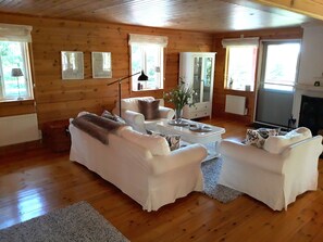 TV connectée, cheminée, lecteur de DVD, livres