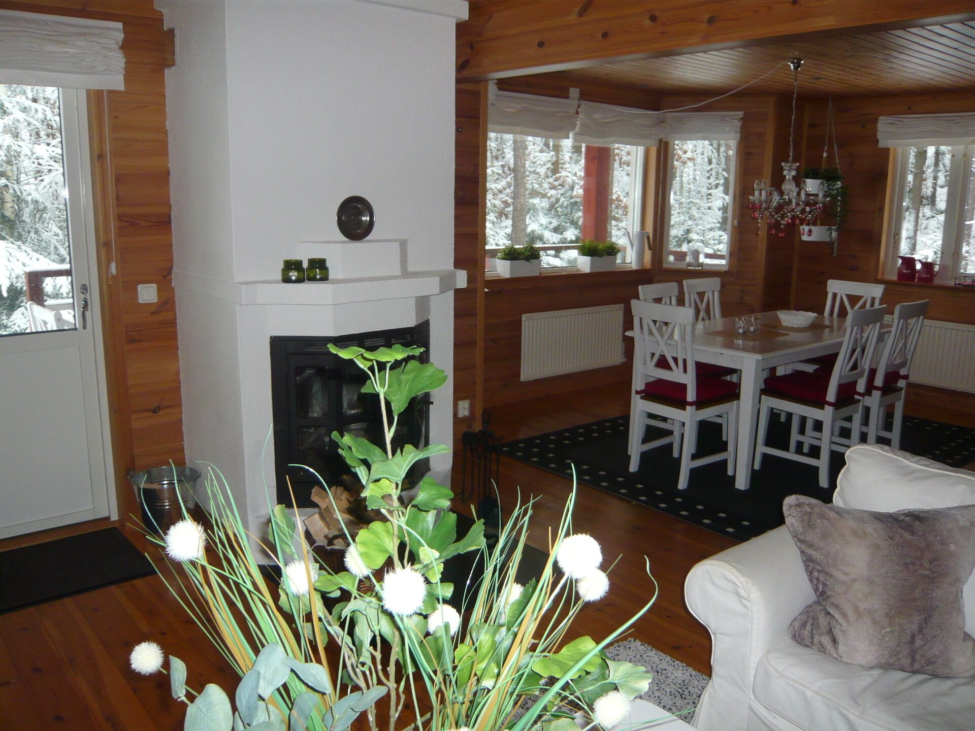 Smart TV, fireplace, DVD player, books