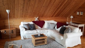 TV connectée, cheminée, lecteur de DVD, livres