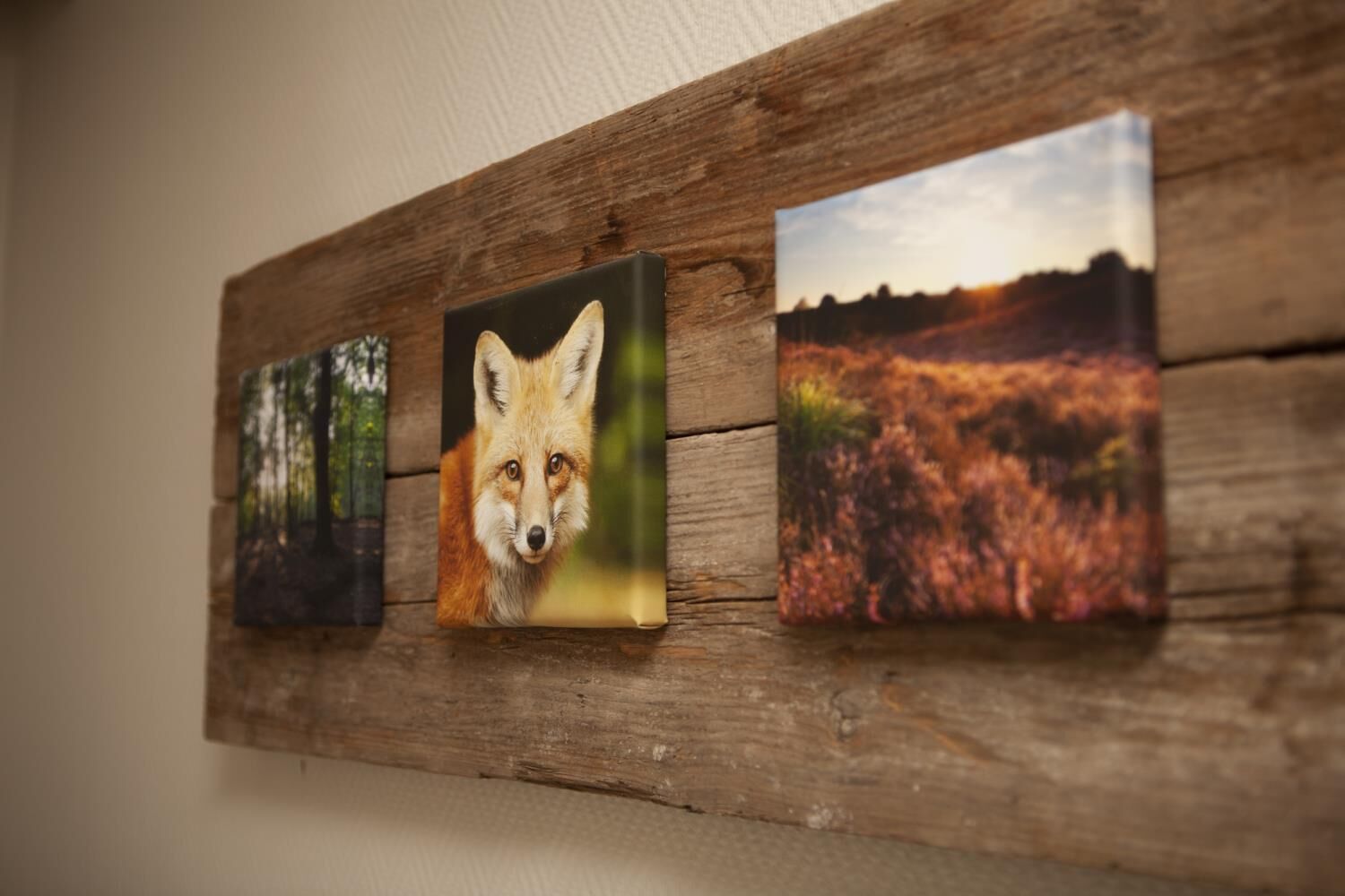 A wooden wall with three framed pictures: a forest, a fox, and a field.