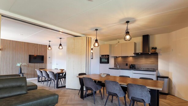 Ein modernes Wohnzimmer mit Sofa, Esstisch und Stühlen, eine Küche mit Holdekor-Schränken und Geräten, sowie Pendelleuchten.