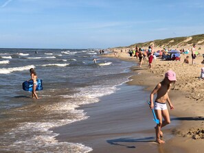 Playa en los alrededores y camastros 