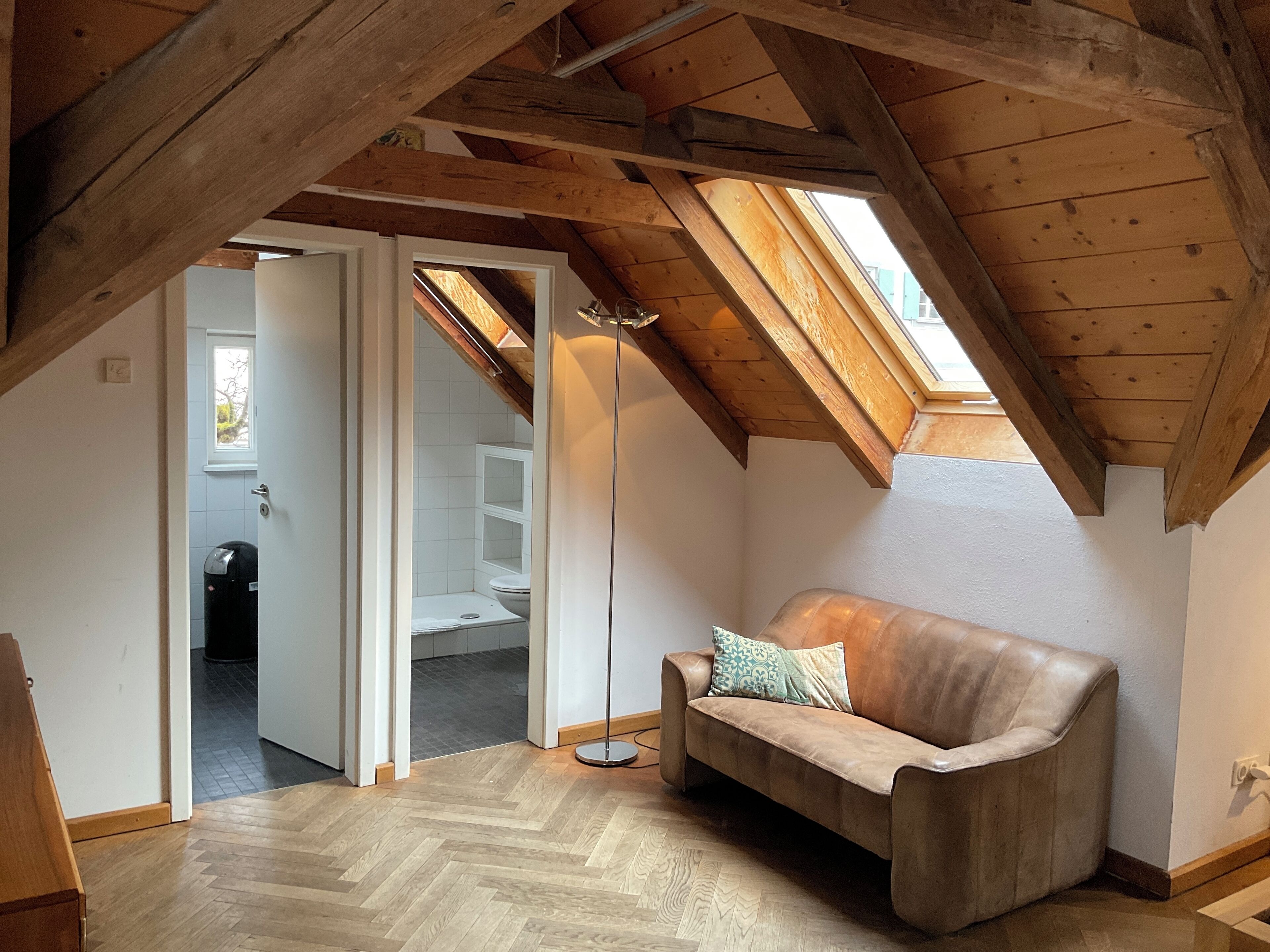 Una televisión, libros, una videoteca