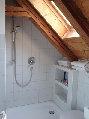 Haartrockner, Handtücher, Toilettenpapier