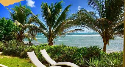 NOUVEAU T2 rĂ©novĂ© au bord du lagon, cadre dâ exception