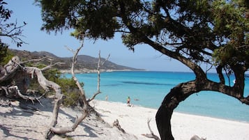 Plage à proximité, serviettes de plage