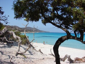 Beach nearby, beach towels - comfortable rental type f2 in the heart of the vineyard with swimming pool  (Patrimonio)