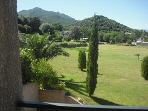 Property grounds - comfortable rental type f2 in the heart of the vineyard with swimming pool (Patrimonio)