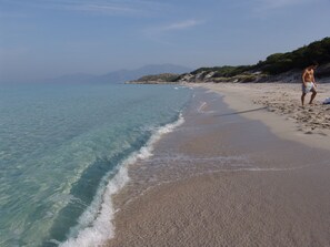 Beach nearby, beach towels - comfortable rental type f2 in the heart of the vineyard with swimming pool  (Patrimonio)