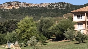 A building with a tiled roof and a balcony, surrounded by trees and a grassy field, with a mountain in the background. - comfortable rental type f2 in the heart of the vineyard with swimming pool  (Patrimonio)