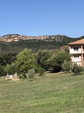 Property grounds - comfortable rental type f2 in the heart of the vineyard with swimming pool (Patrimonio)