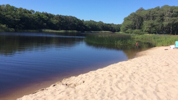 A sandy beach with a calm lake, surrounded by dense forest. - Fantastic family vacation 600m from sandy beach, large garden, near forest, river (Mellbystrand)