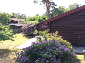 Ulkoalueet