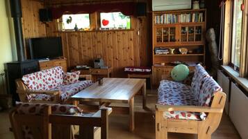 Tv, eldstad, dvd-spelare och böcker