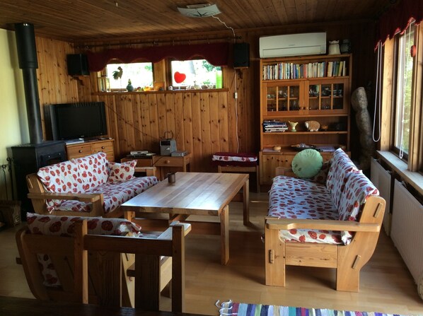 TV, fireplace, DVD player, books