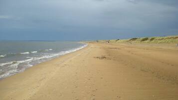 Playa en los alrededores y camastros