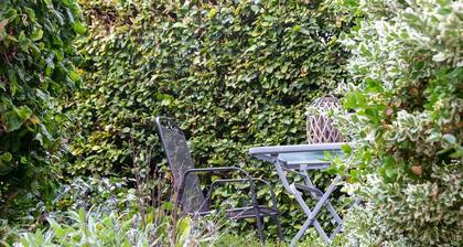 Ferienwohnung Dachgeschoss im Wohnhaus ** - Ferienwohnungen Moritz