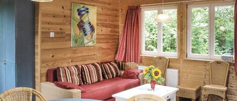 Télévision, lecteur de DVD, table de tennis de table