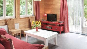 TV, DVD player, ping pong