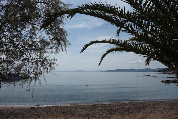 Beach nearby, sun loungers
