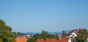 A town with red-tiled rooftops, a prominent church, and surrounding greenery. - Cosy attic apartment, 60m² (Fulda)