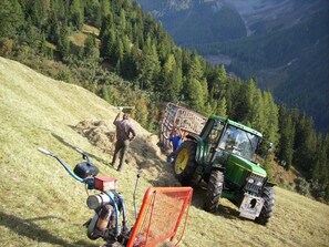 Imagem sem classificação, 3 de 30, botão