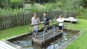Ein hölzernes Wasserelement mit Metallgeländer, umgeben von einem Holzzaun und Grünpflanzen.