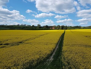 Uklassifisert bilde, 4 av 24, knapp