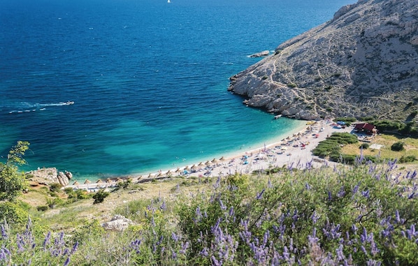 Nær stranden og fisking