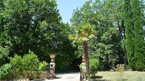 A pathway leading through a garden with a wooden gate, surrounded by various trees and plants.