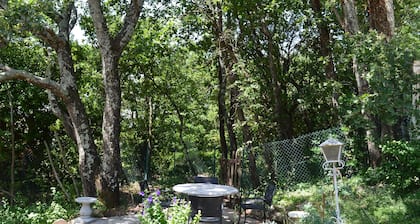 Petite Maison Clos Neuf. grand terrain, piscine, calme, dans le vignoble.
