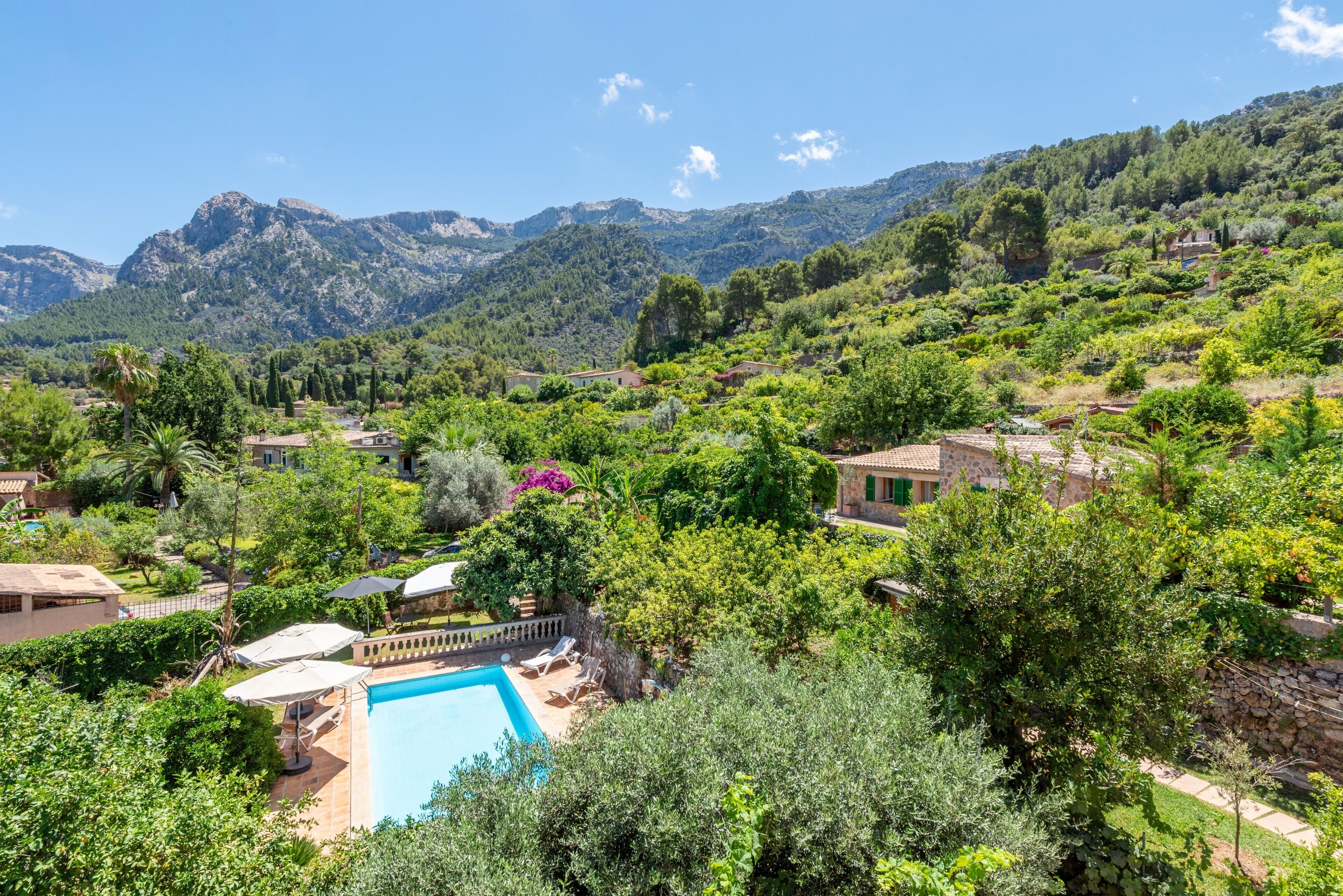 A pool surrounded by lush greenery and houses on a hillside.