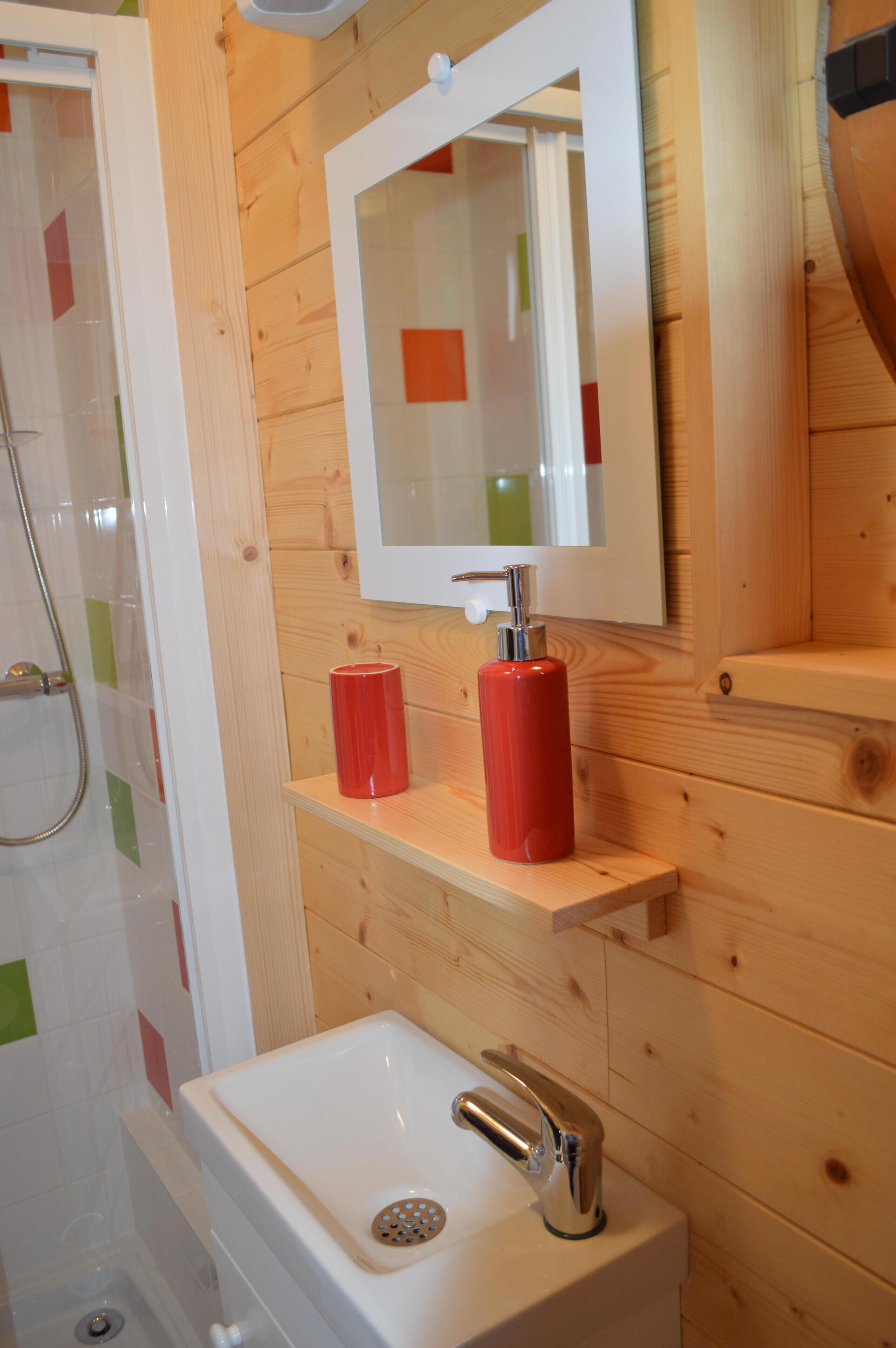 Shower, hair dryer, soap, toilet paper