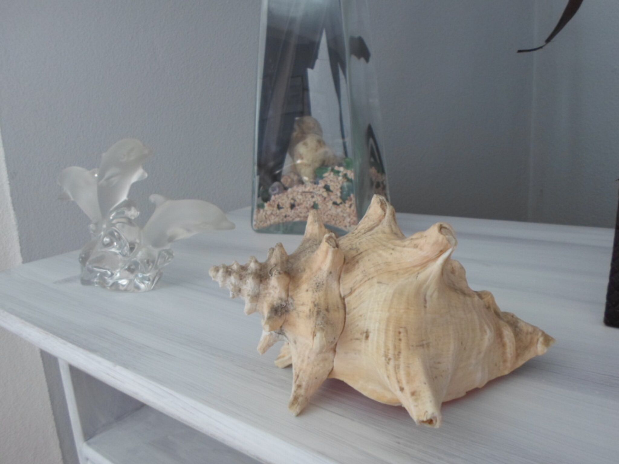 A white shelf with a large seashell, a clear glass sculpture, and a framed picture.