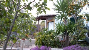 A garden with gravel paths, purple flowering plants, and a stone wall. - Charming house in central Algarve in quiet highland, only 18 km to airport (Algarve)