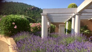 A garden with lavender, a pergola, and a building with columns.
