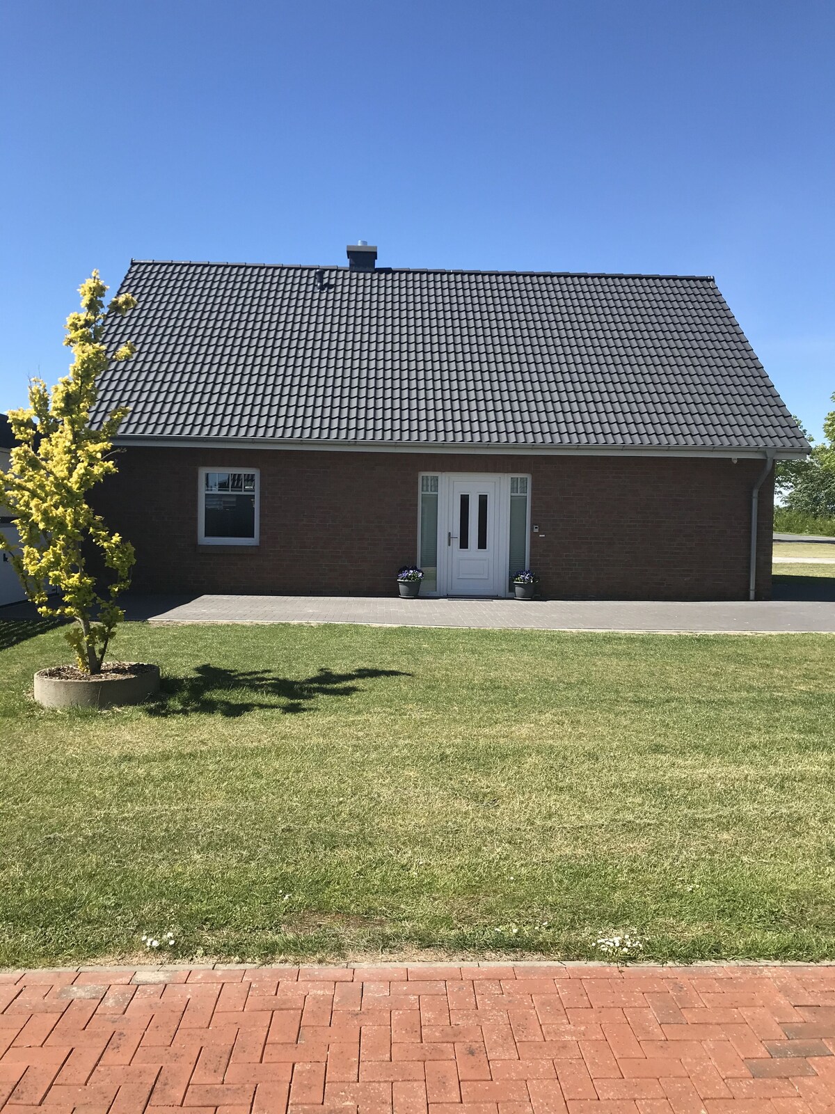 Värdens profilbild