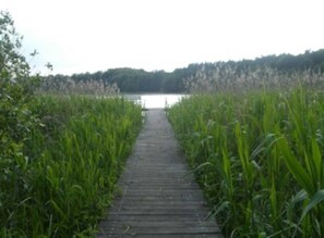 Imagen sin descripción, 2 de 8, botón