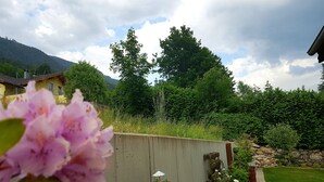 Um jardim com muro de concreto, plantas em vasos e gramado.
