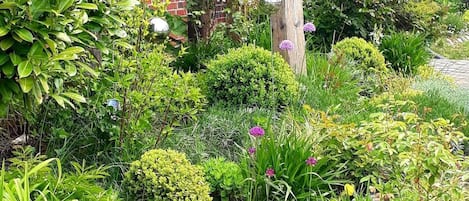 DĂ©tail de lâextĂ©rieur