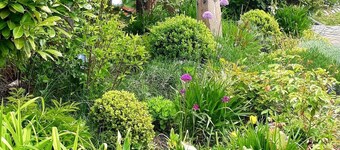 Apartment on the Papensee - Apartment