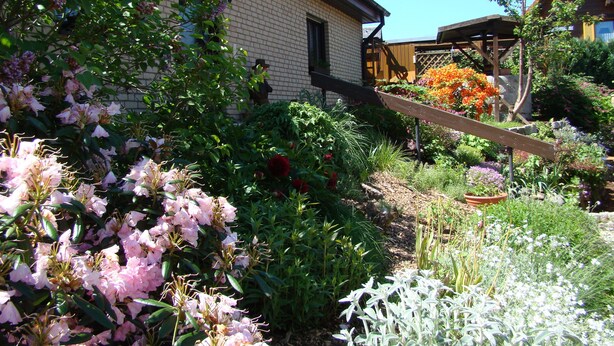 A garden with a variety of plants and flowers, a wooden deck, and a brick building with a window. - Apartment with balcony in a quiet, sunny location on the outskirts of Saxon Switzerland (Sebnitz)