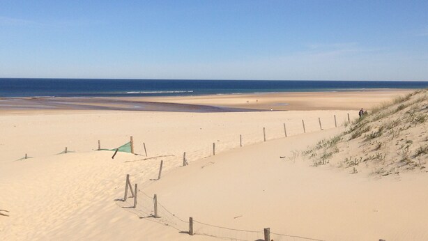 A sandy beach with a fence and dunes.