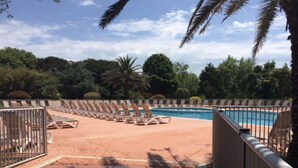 A poolside area with sun loungers and a swimming pool, surrounded by palm trees and greenery.
