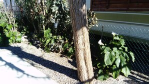 A garden area with a tree, gravel path, and a chain-link fence. - Chalet in campingWell placed quietly, next to the pool, beautiful terrace in the shade (Sigean)