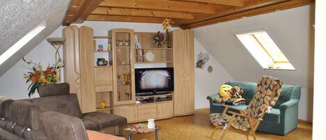 Télévision, cheminée, lecteur de DVD, livres