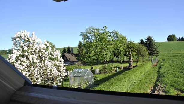 Blick aus einem Haus auf ein grünes Feld, ein Gewächshaus und Bäume.