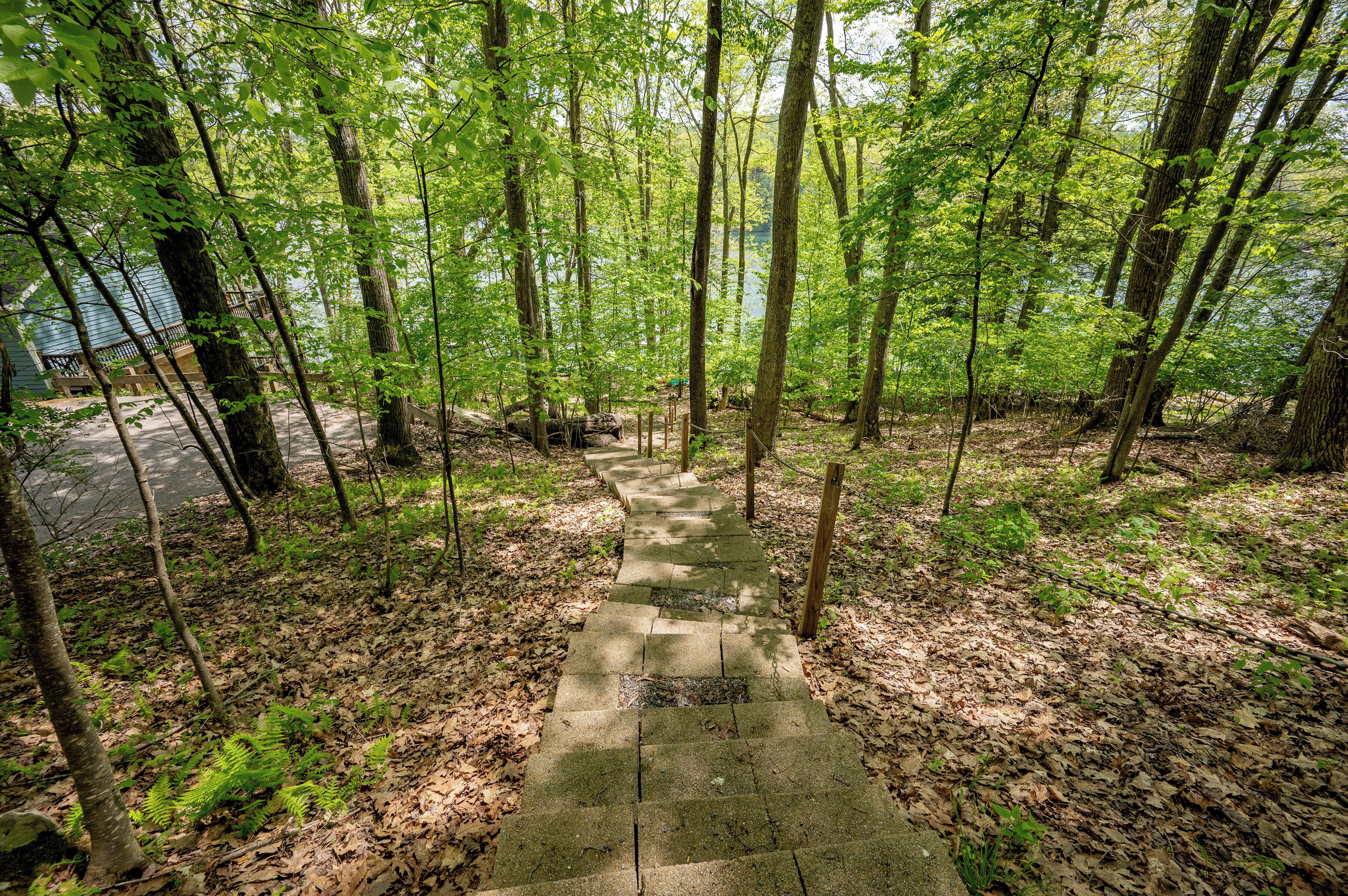 A concrete pathway leading through a forested area with a body of water in the background.